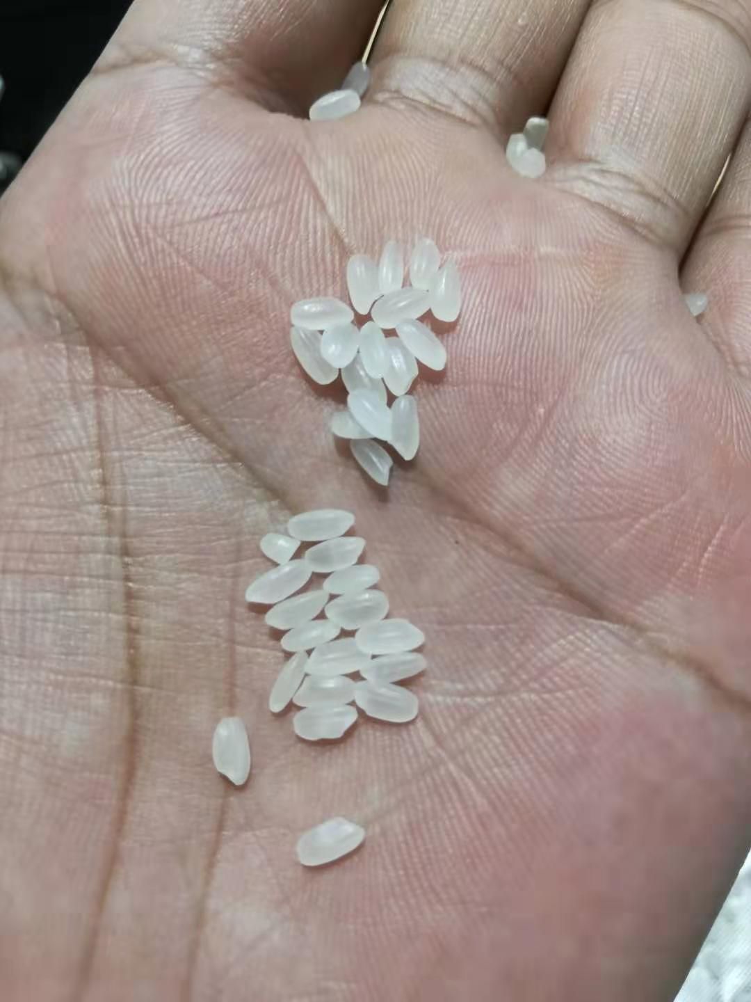 辽星大米 一等品 晚稻 粳米