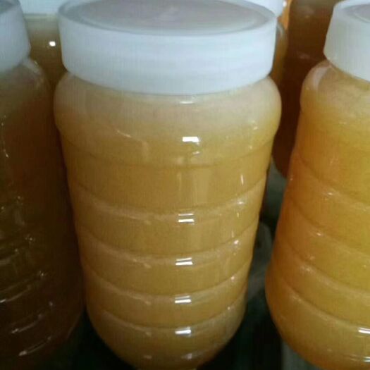 云霄县 蜂蜜 冬蜜 农家自养 塑料瓶装  2年以上