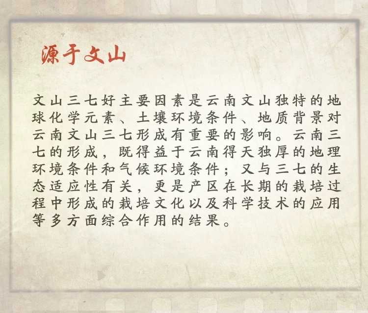  三七根云南文山 三七根须三七须根特级三七须农家500g