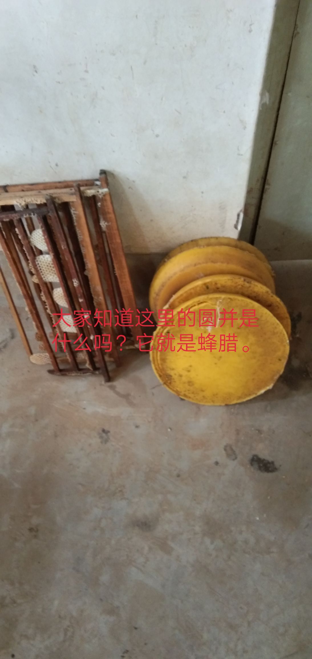  巜翟蜜》纯枣花蜂蜜质量品质保证价格优于同行，经食药监督局检