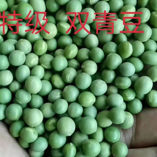 宁安市 我是黑龙江省牡丹江镜泊湖的，主营双青豆！年产2000多吨