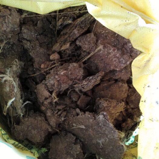 南昌县 大量出售鸭粪