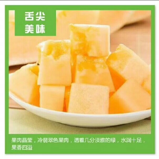 瓜州县西州蜜果实椭圆形，浅麻绿、嫩果为绿色，成熟时为浅绿色，果肉