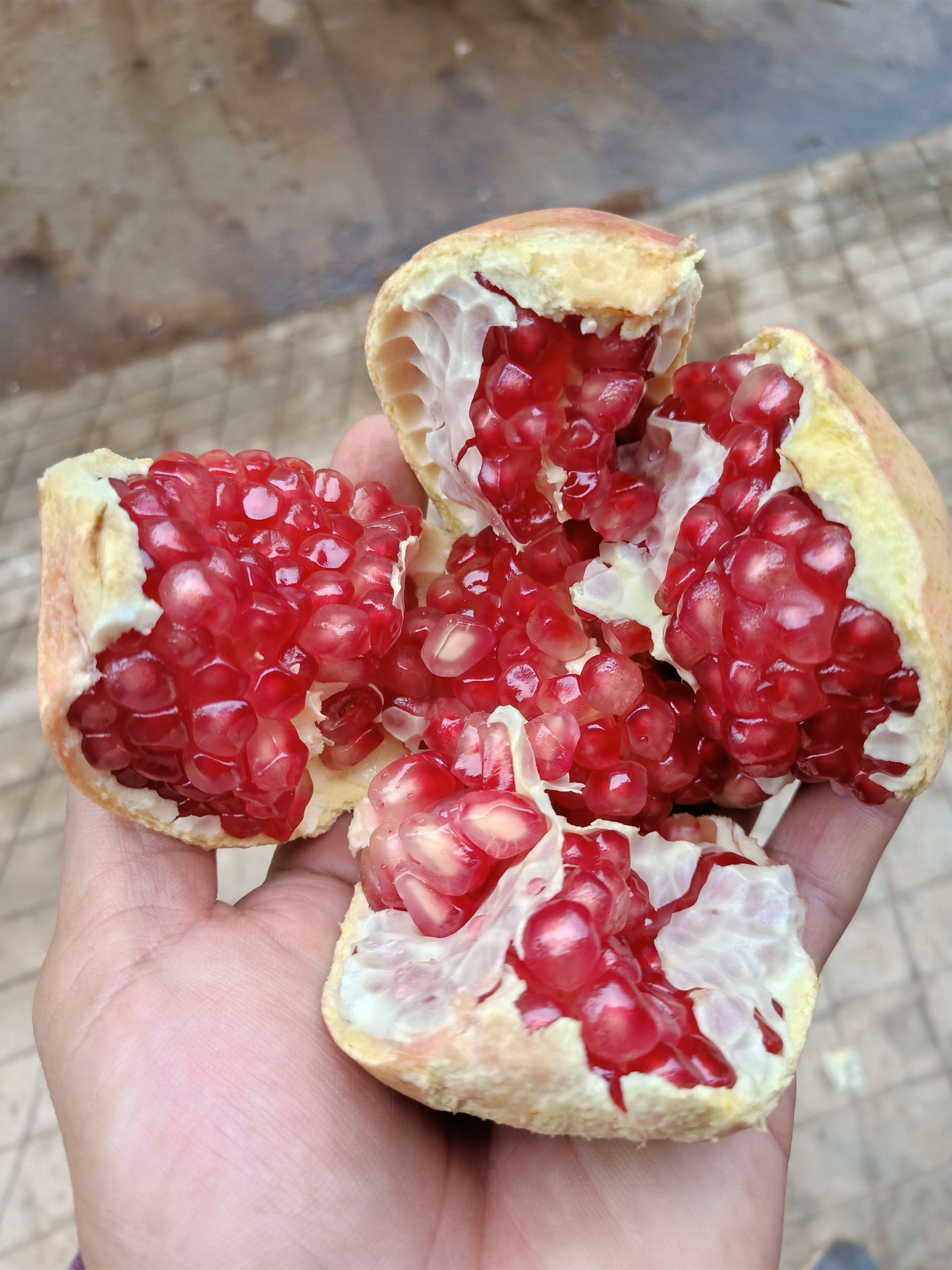  蒙自石榴粒大皮薄，清甜可口色泽鲜艳，种植历史