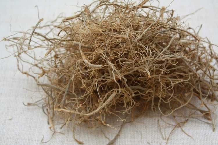  三七根云南文山 三七根须三七须根特级三七须农家500g