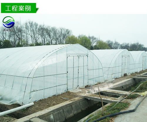 沭阳县 蔬菜大棚