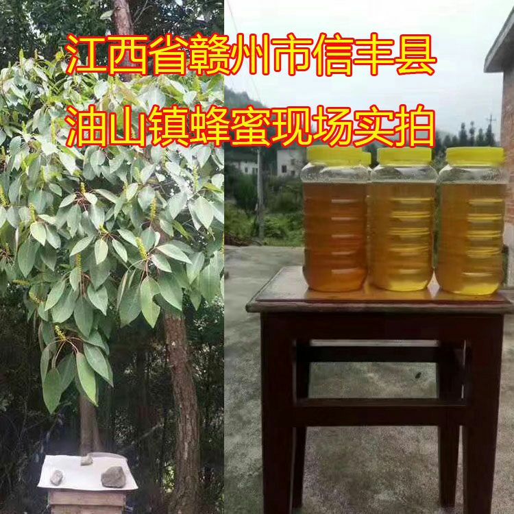  蜜蜂糖正品纯正天然野生500g瓶装百花蜜