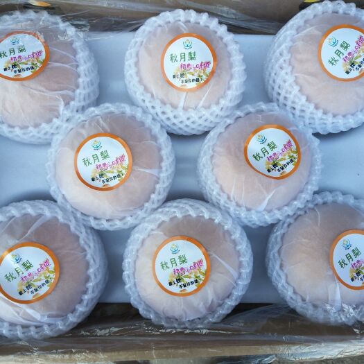 莱西市秋月梨 90mm以上 350-400g 