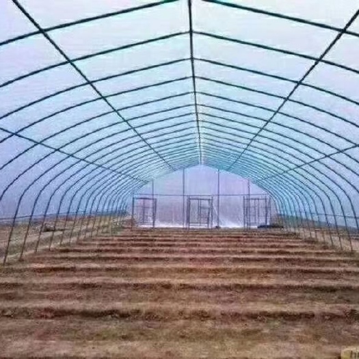 沭阳县 625型825型蔬菜大棚国标热镀锌钢管