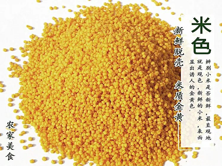 黄小米  小米，金谷小米 马坡小米 电商平台一手