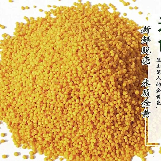 黄小米  小米，金谷小米 马坡小米 电商平台一手