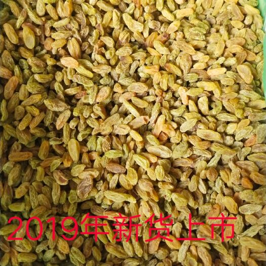 沧县无核葡萄干  202年新货新疆吐鲁番市葡萄干新货质量好批发真实