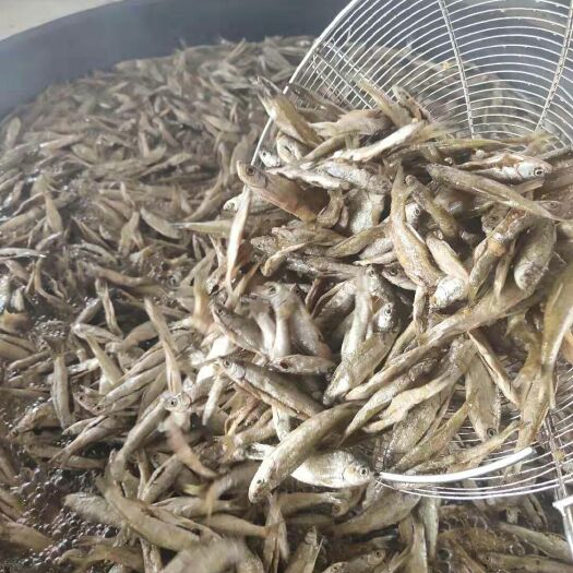 都昌县淡水油炸小鱼干餐鱼破腹无盐油炸小白条