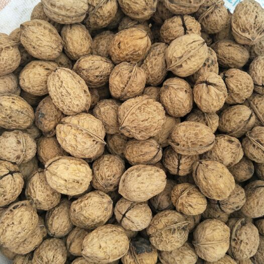 新平县 云南深山薄皮核桃，源自深山，剂，