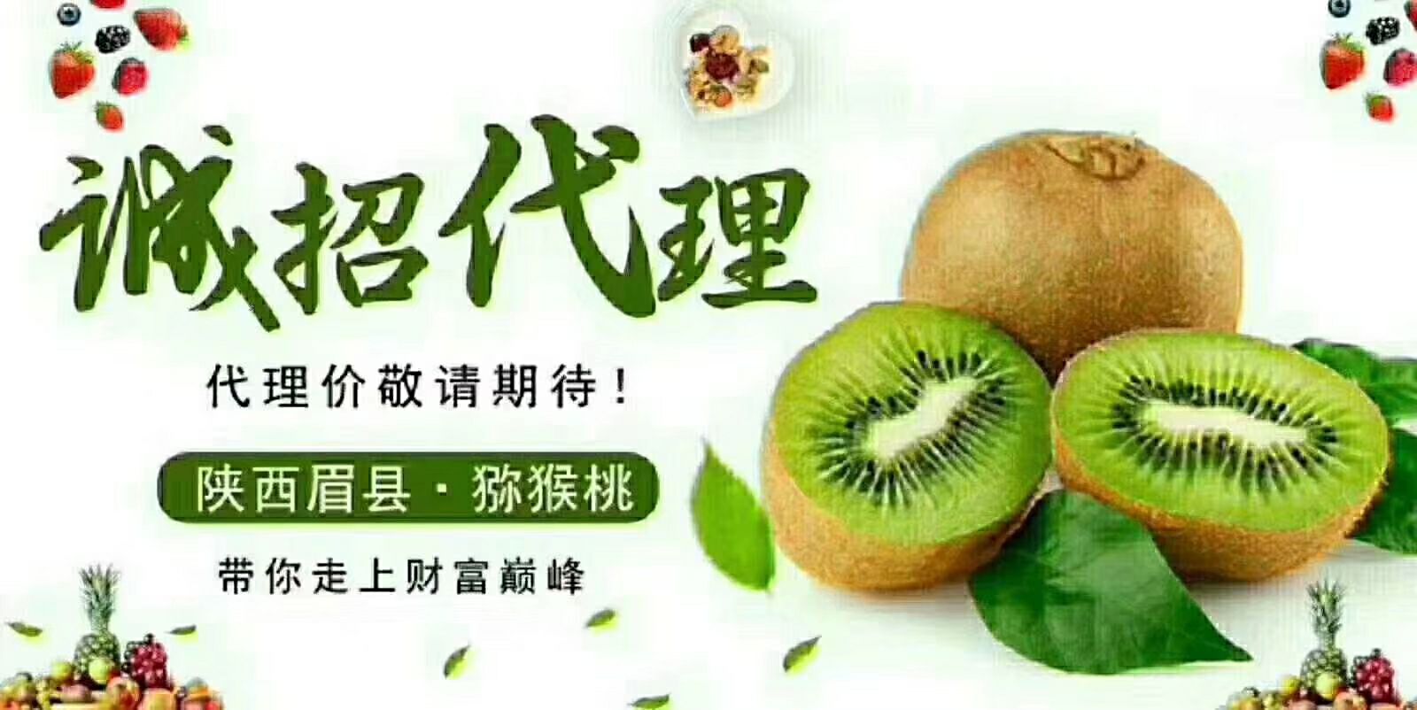  眉县猕猴桃酸甜刚刚好！