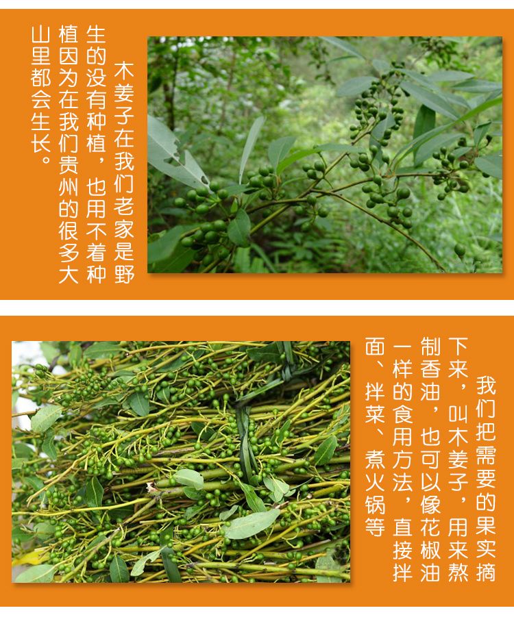 木姜油 优惠1瓶包邮木姜子油山胡椒油红酸汤火锅凉拌炒菜调料油浓香