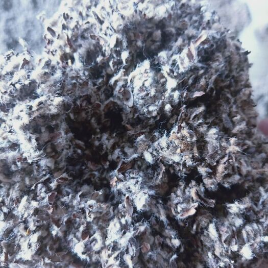 乌鲁木齐棉籽壳 新疆19年棉壳，好货不便宜每吨980元，数量有限！