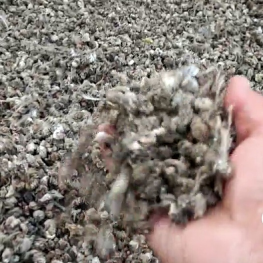 河南鹌鹑粪鸟粪富含氮磷钾等微量元素