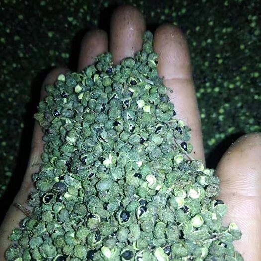 大姚县 云南花椒