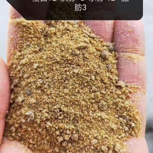 巨鹿县 玉米渣，纯玉米渣