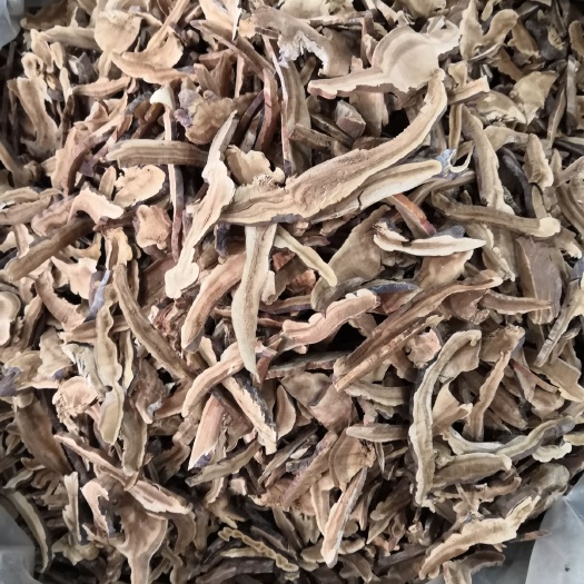 亳州黑灵芝   灵芝 灵芝片  新货各种规格 各种中药材