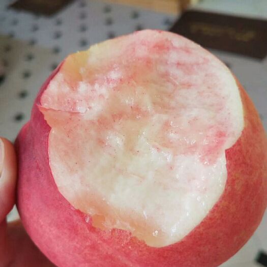 礼泉县 秦王桃，桃色好，。大！价格合理