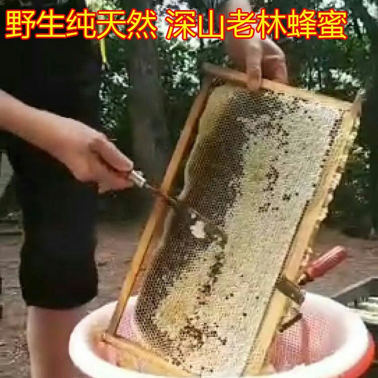  蜜蜂糖正品纯正天然野生500g瓶装百花蜜