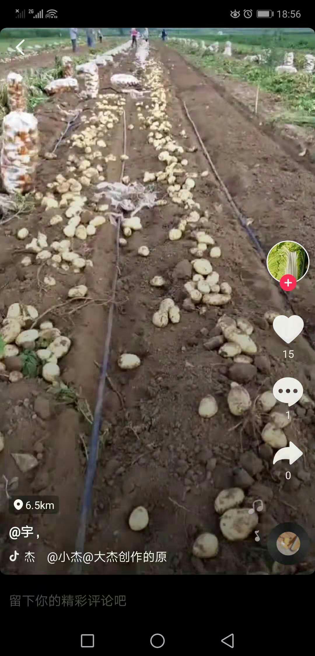  围场土豆大量出售，有想法的联系我