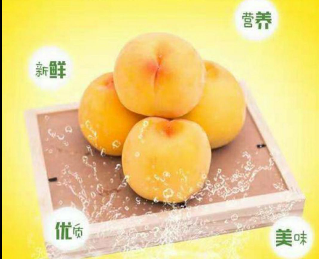 山东香又甜黄桃