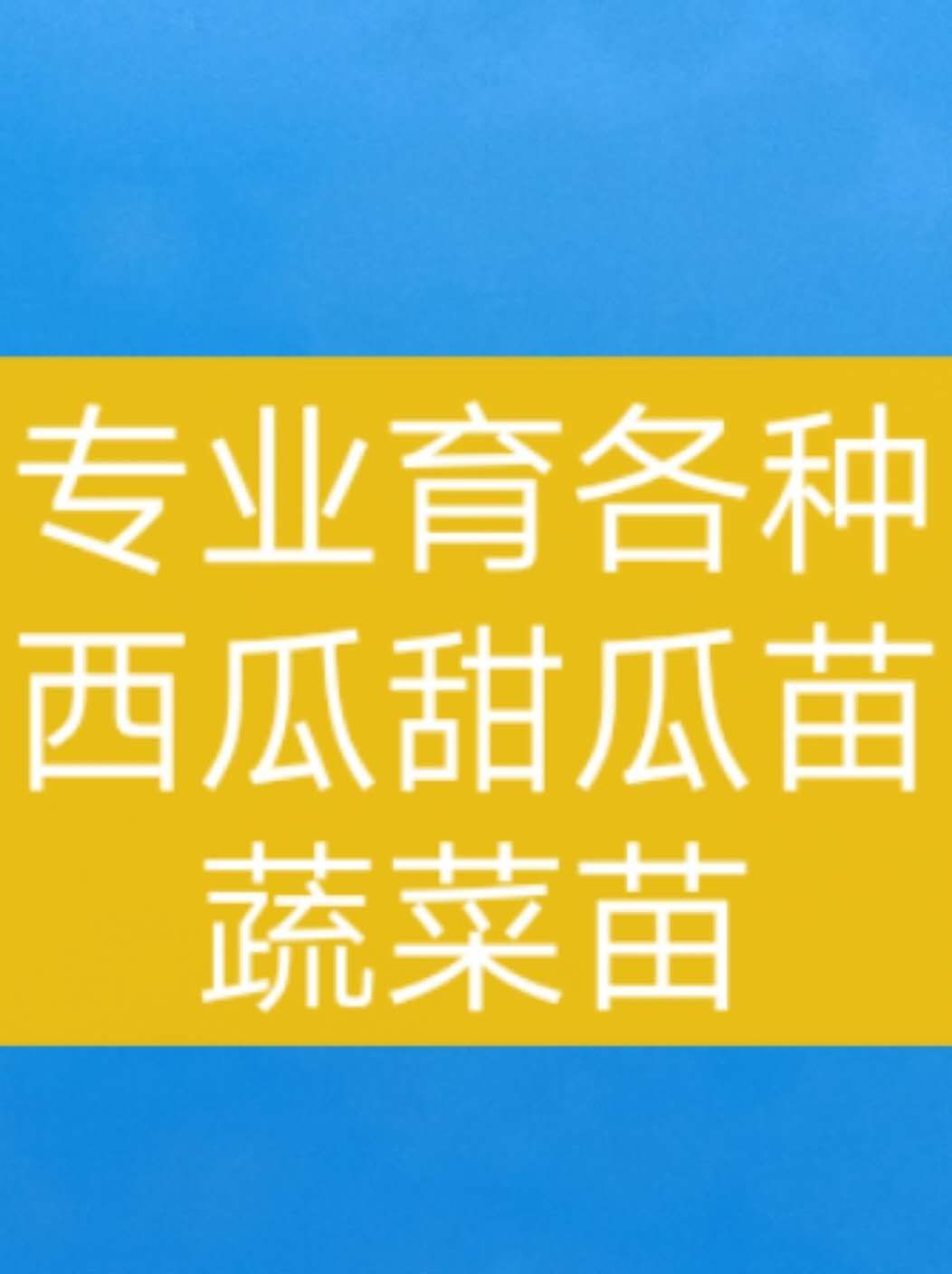 京欣西瓜苗 嫁接苗 容器苗 2公分以下 0.2公分以上