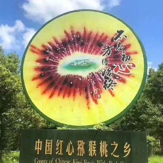 苍溪县 生态红心猕猴桃