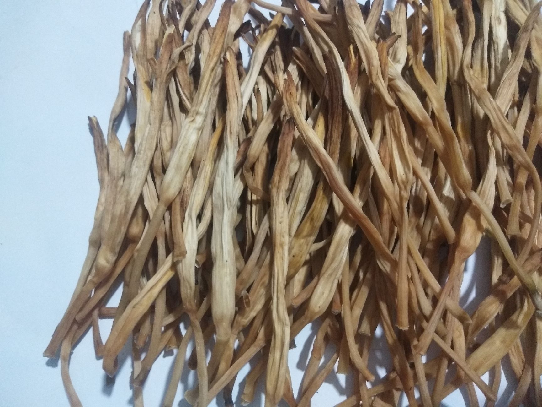  大同六棱山脚下桑干河畔黑土地生长的黄花菜`金针菜，保证质量。
