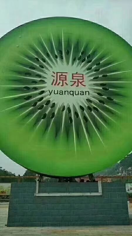  甜甜甜，“猕”上你，“桃”不掉，我家猕猴桃快快来砸单吧