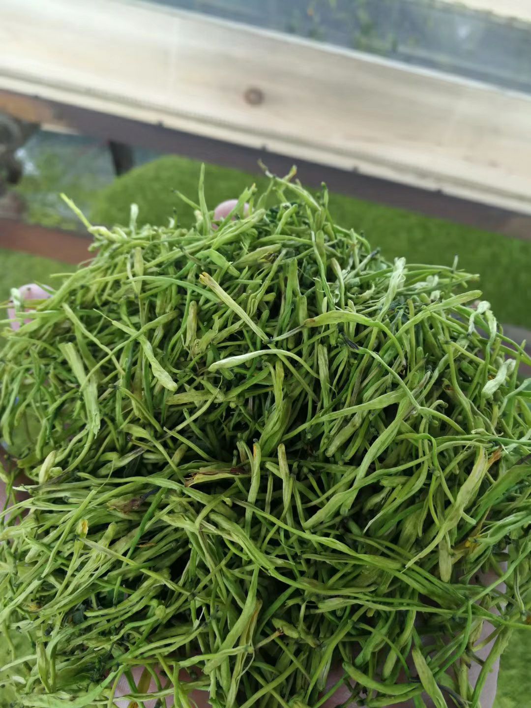 金银花茶 早熟野生金银花