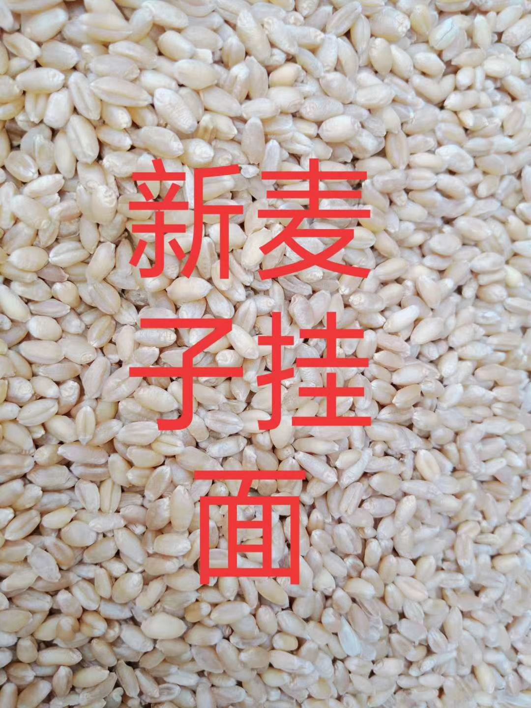  赫章六曲麦子面条