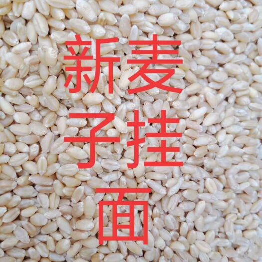 赫章县 赫章六曲麦子面条