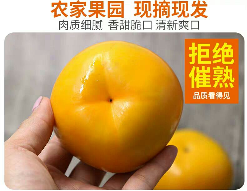 保山柿子新鲜脆柿子水果硬柿子带箱10斤包邮应季脆甜柿子火晶