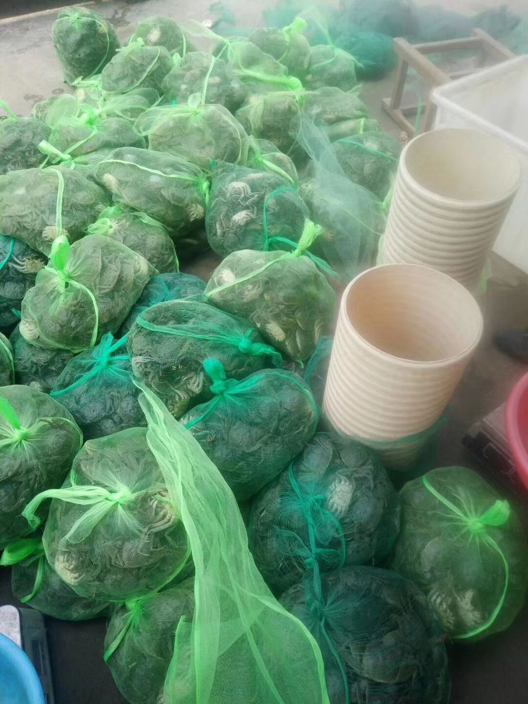  龙虾，大闸蟹，诚信经营