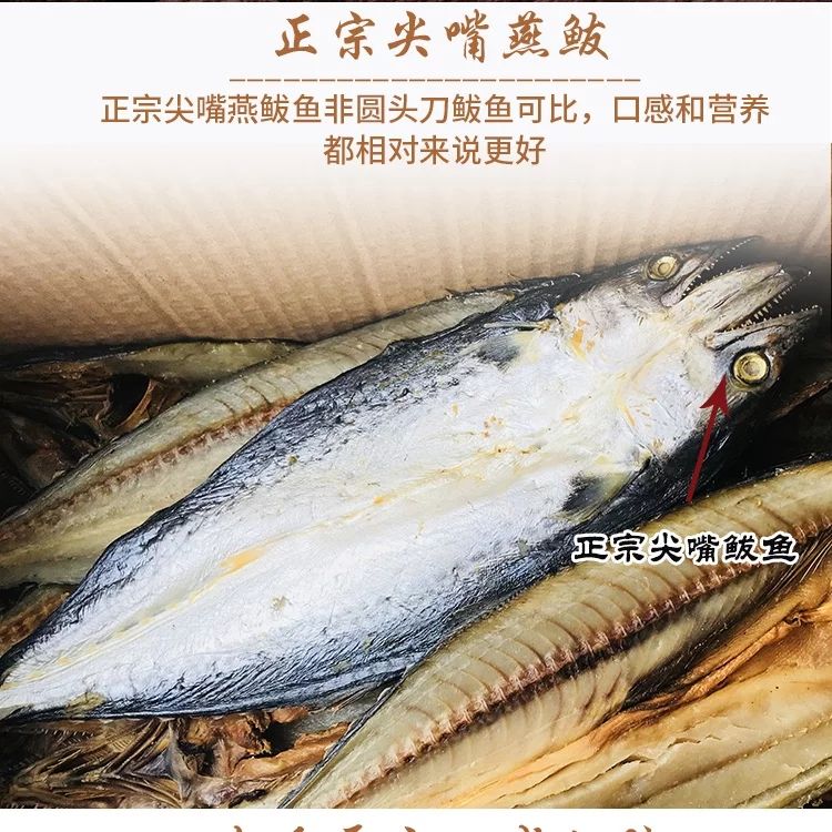  诚招合作运营商精品鲅鱼干10斤一件10件包邮