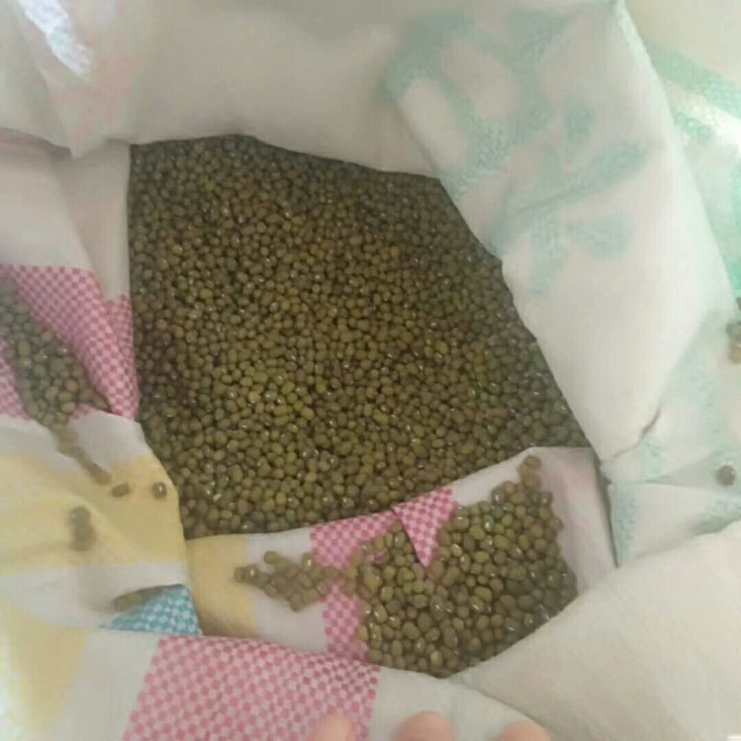 毛绿豆 散装 1等品