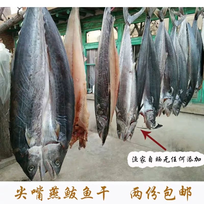  诚招合作运营商精品鲅鱼干10斤一件10件包邮