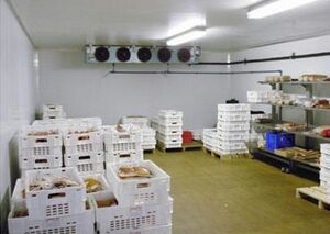 恒温冷库 产地冷库，让产品持久保鲜，提升产品价值