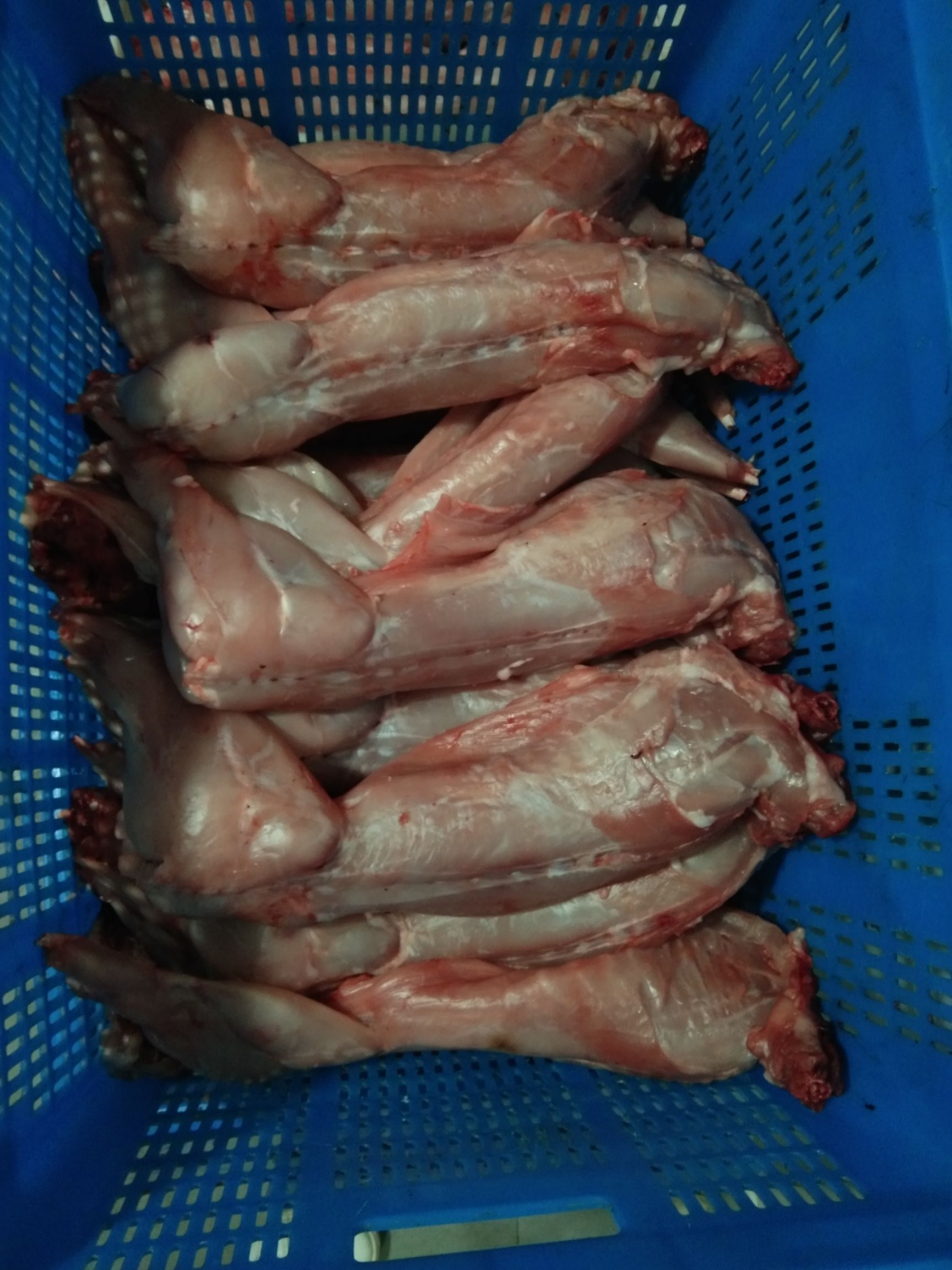兔肉类 冷冻