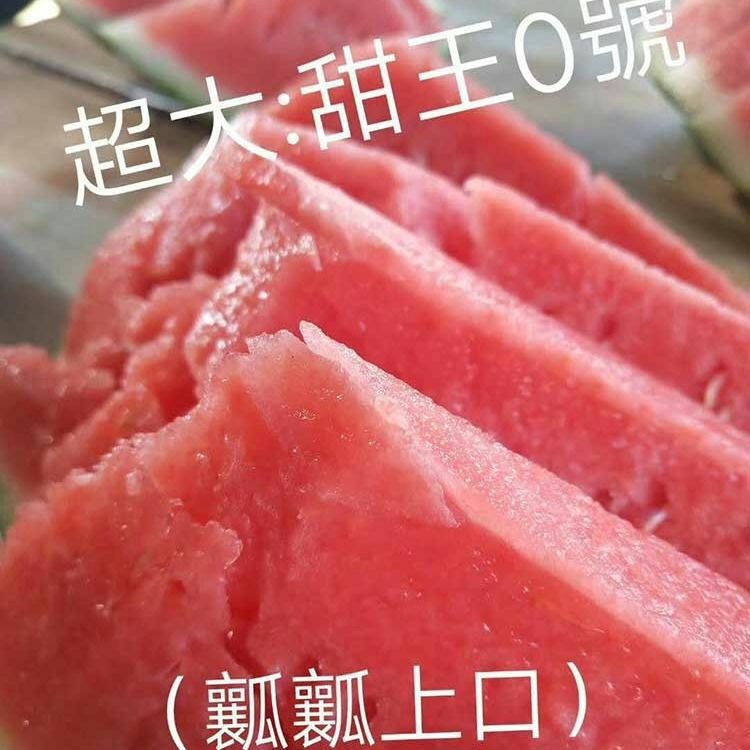  超大甜王0号西瓜种子 采用菲律宾原种基因高糖原装2000粒