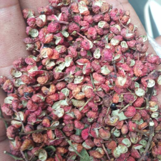 西安 陕西大红袍干花椒麻香味十足自然晾晒天然无仔
