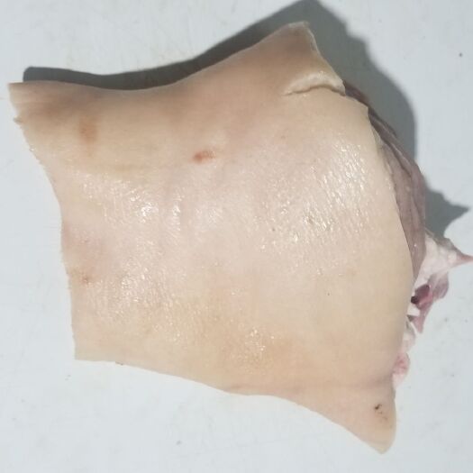 沈阳猪肘子 套网肘子，骨棒，~~联系