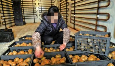 恒温冷库 产地冷库，让产品持久保鲜，提升产品价值