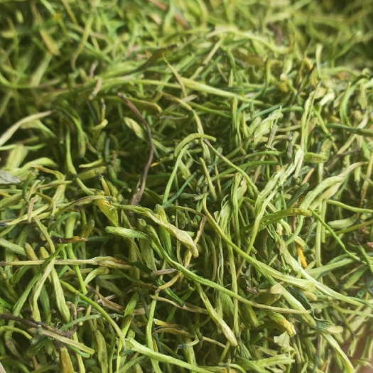金银花茶 早熟野生金银花