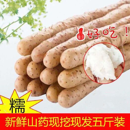 临漳县正宗铁棍山药新鲜上市