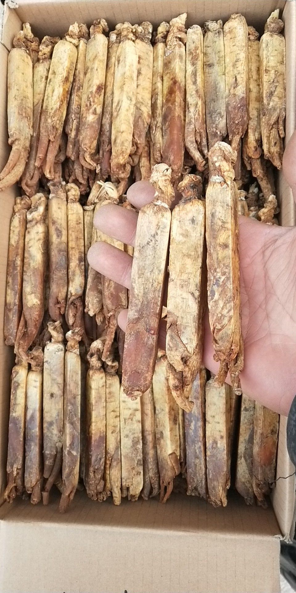 红参 长白山正品无糖高丽参。产地直销。货真价实童叟无欺。